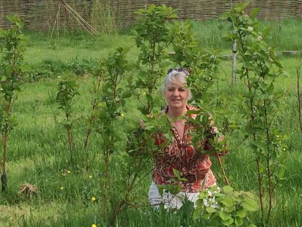 Plant a copse of trees. Leave the grass uncut between them. 