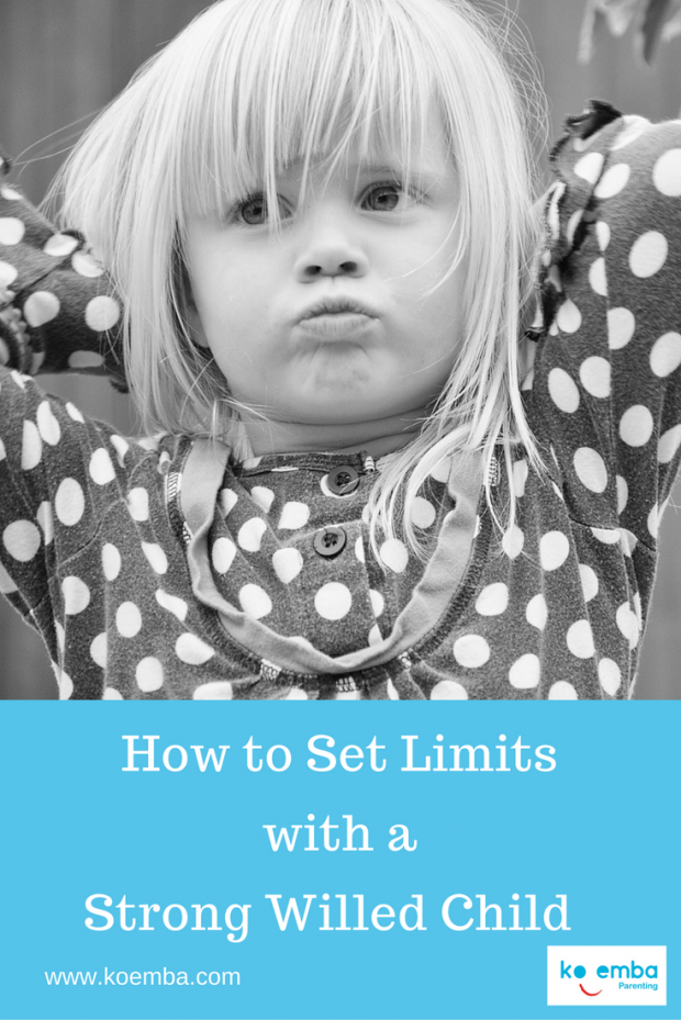 How to Set Boundaries with a Strong Willed Child 